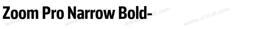 Zoom Pro Narrow Bold字体转换